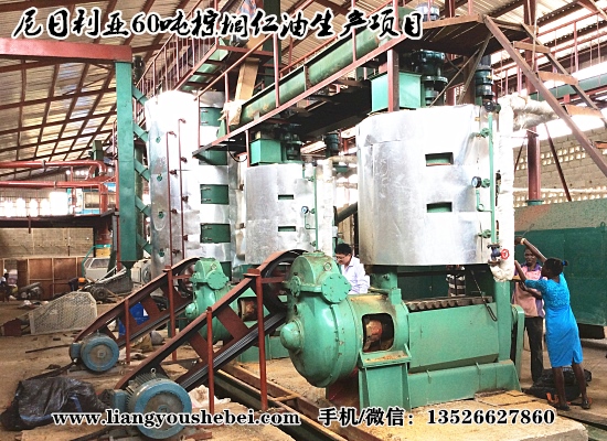 尼日利亞翁多60噸棕櫚仁油壓榨浸出項(xiàng)目 尼日利亞翁多60噸棕櫚仁油壓榨浸出項(xiàng)目